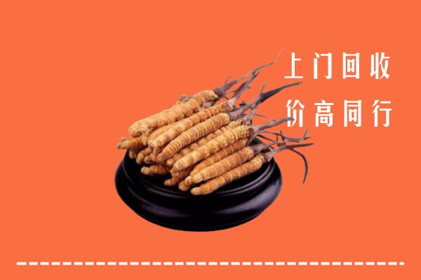 高价求购：略阳回收散虫草